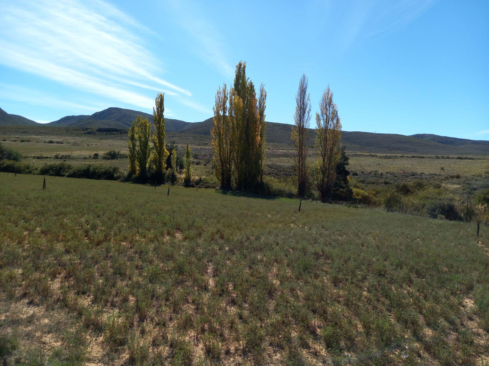 Commercial Property for Sale in Uniondale Rural Western Cape